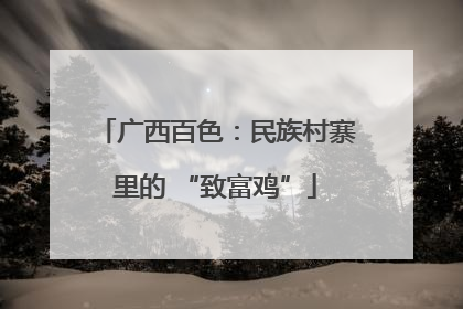 广西百色：民族村寨里的 “致富鸡”