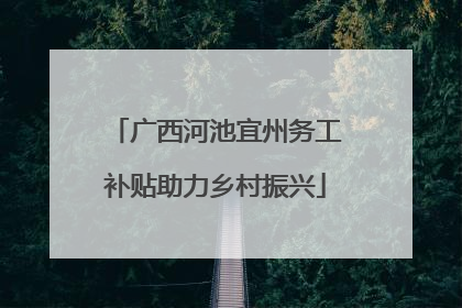 广西河池宜州务工补贴助力乡村振兴