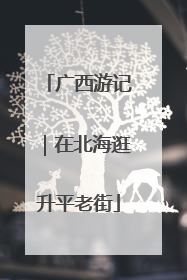 广西游记｜在北海逛升平老街