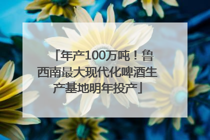 年产100万吨！鲁西南最大现代化啤酒生产基地明年投产