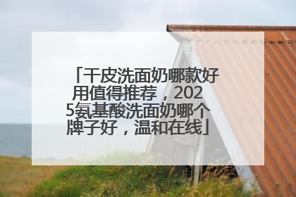 干皮洗面奶哪款好用值得推荐，2025氨基酸洗面奶哪个牌子好，温和在线
