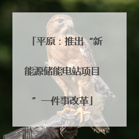 平原：推出“新能源储能电站项目”一件事改革
