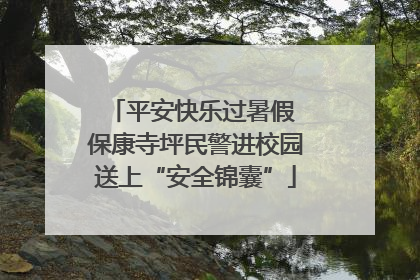 平安快乐过暑假 保康寺坪民警进校园送上“安全锦囊”