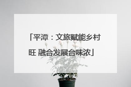 平潭：文旅赋能乡村旺 融合发展台味浓