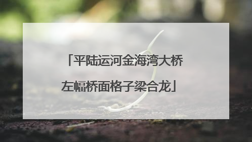 平陆运河金海湾大桥左幅桥面格子梁合龙