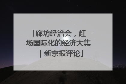 廊坊经洽会，赶一场国际化的经济大集｜新京报评论