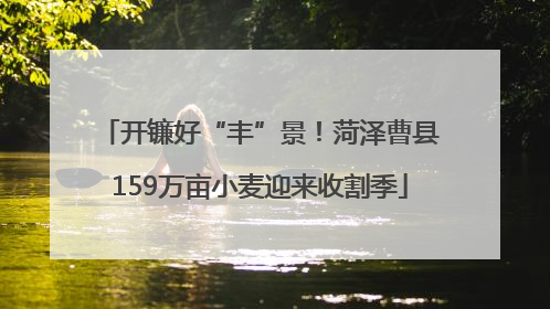 开镰好“丰”景！菏泽曹县159万亩小麦迎来收割季