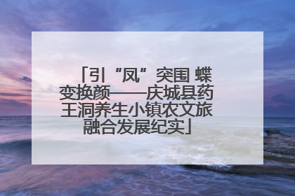 引“凤”突围 蝶变换颜——庆城县药王洞养生小镇农文旅融合发展纪实