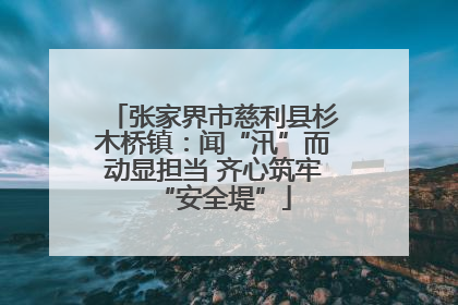 张家界市慈利县杉木桥镇:闻“汛”而动显担当 齐心筑牢“安全堤”
