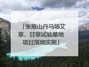 张掖山丹马场艾草、甘草试验基地项目落地实施