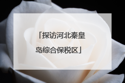 探访河北秦皇岛综合保税区