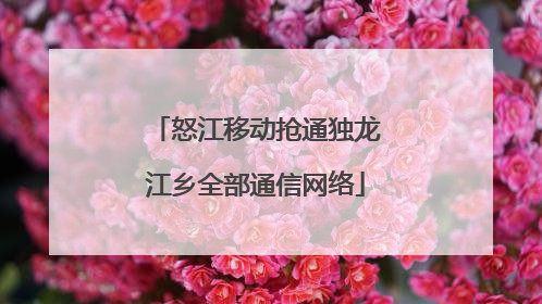 怒江移动抢通独龙江乡全部通信网络