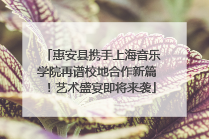 惠安县携手上海音乐学院再谱校地合作新篇！艺术盛宴即将来袭