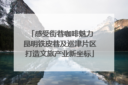 感受街巷咖啡魅力 昆明铁皮巷及巡津片区打造文旅产业新坐标