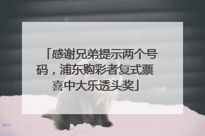 感谢兄弟提示两个号码，浦东购彩者复式票喜中大乐透头奖