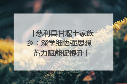 慈利县甘堰土家族乡：深学细悟强思想 蓄力赋能促提升