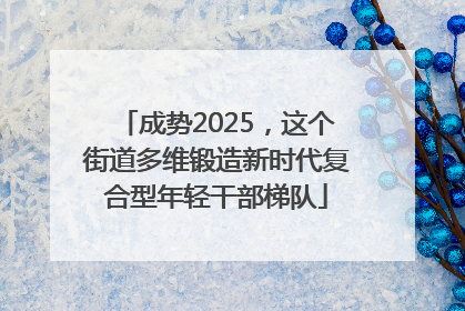 成势2025，这个街道多维锻造新时代复合型年轻干部梯队
