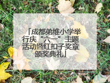 成都弟维小学举行庆“六一”主题活动暨红扣子奖章颁奖典礼