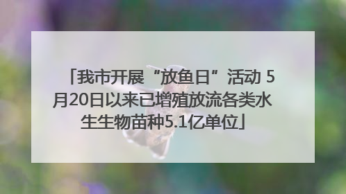 我市开展“放鱼日”活动 5月20日以来已增殖放流各类水生生物苗种5.1亿单位