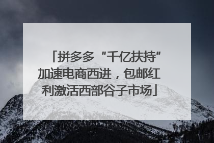 拼多多“千亿扶持”加速电商西进，包邮红利激活西部谷子市场