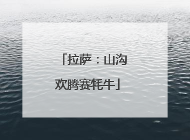 拉萨：山沟欢腾赛牦牛