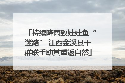 持续降雨致娃娃鱼“迷路” 江西金溪县干群联手助其重返自然