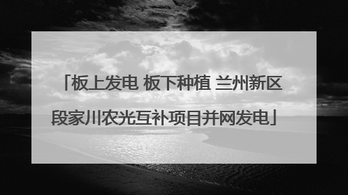 板上发电 板下种植 兰州新区段家川农光互补项目并网发电