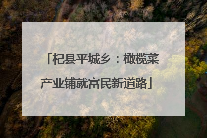杞县平城乡：橄榄菜产业铺就富民新道路