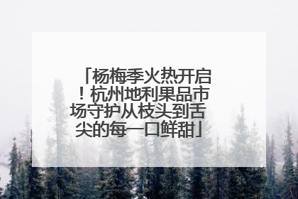 杨梅季火热开启！杭州地利果品市场守护从枝头到舌尖的每一口鲜甜