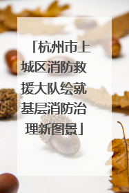 杭州市上城区消防救援大队绘就基层消防治理新图景
