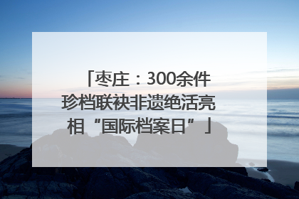 枣庄：300余件珍档联袂非遗绝活亮相“国际档案日”