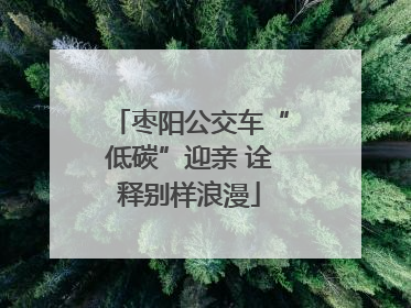 枣阳公交车“低碳”迎亲 诠释别样浪漫