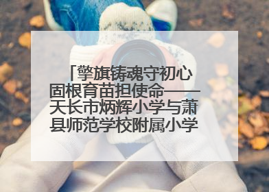 擎旗铸魂守初心 固根育苗担使命——天长市炳辉小学与萧县师范学校附属小学结对共建活动纪实