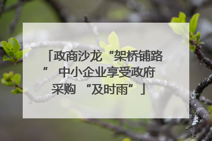 政商沙龙“架桥铺路” 中小企业享受政府采购 “及时雨”