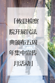 攸县检察院开展民法典颁布五周年集中宣传月活动