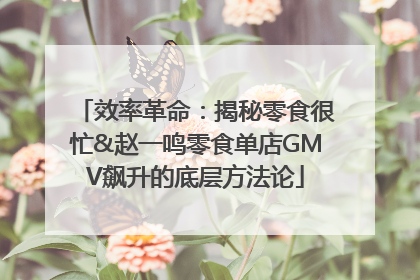 效率革命：揭秘零食很忙&赵一鸣零食单店GMV飙升的底层方法论
