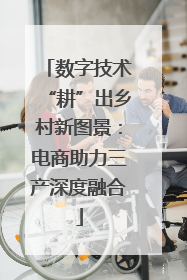 数字技术“耕”出乡村新图景：电商助力三产深度融合