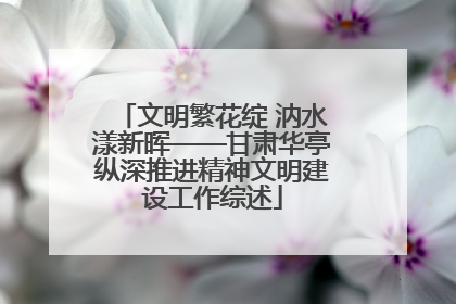 文明繁花绽 汭水漾新晖——甘肃华亭纵深推进精神文明建设工作综述