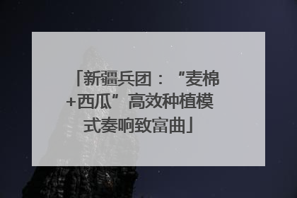 新疆兵团：“麦棉+西瓜”高效种植模式奏响致富曲
