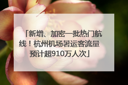 新增、加密一批热门航线！杭州机场暑运客流量预计超910万人次