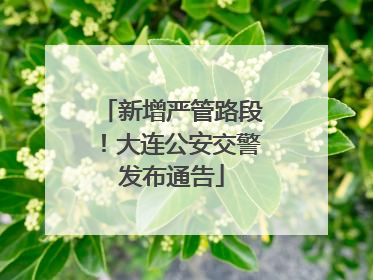 新增严管路段！大连公安交警发布通告