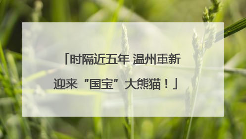 时隔近五年 温州重新迎来“国宝”大熊猫！