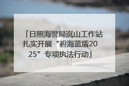 日照海警局岚山工作站扎实开展“碧海蓝盾2025”专项执法行动
