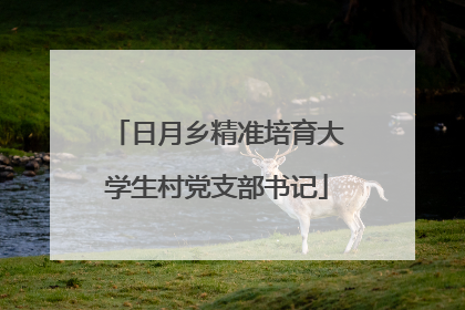 日月乡精准培育大学生村党支部书记