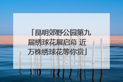昆明郊野公园第九届绣球花展启幕 近万株绣球花等你赏