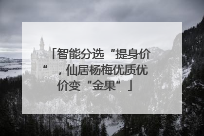 智能分选“提身价”，仙居杨梅优质优价变“金果”