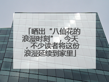 晒出“八仙花的浪漫时刻”，今天，不少读者将这份浪漫延续到家里