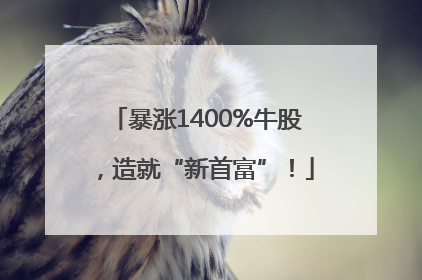 暴涨1400%牛股，造就“新首富”！