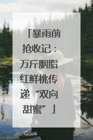 暴雨前抢收记：万斤胭脂红鲜桃传递“双向甜蜜”