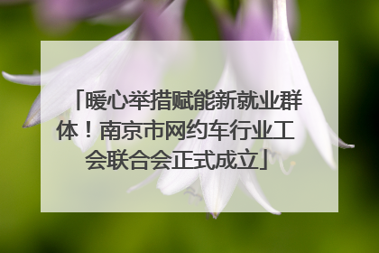 暖心举措赋能新就业群体！南京市网约车行业工会联合会正式成立